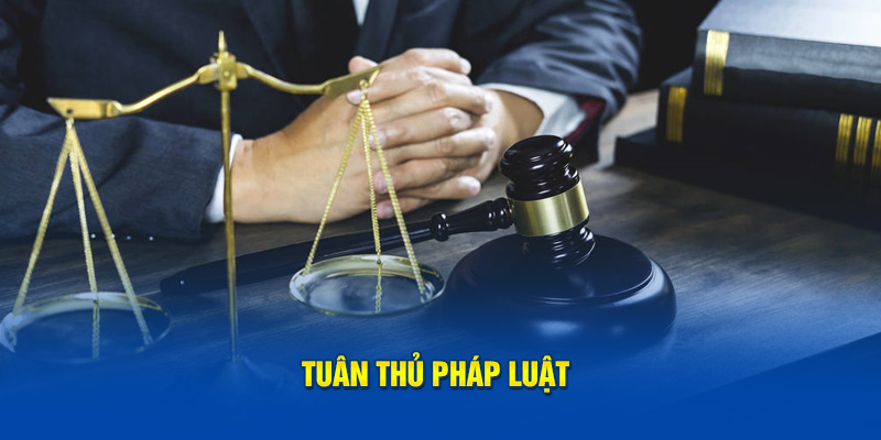 Tuân thủ pháp luật